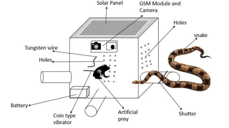 UPES professor’s AI-powered solution for snakebite prevention and ...